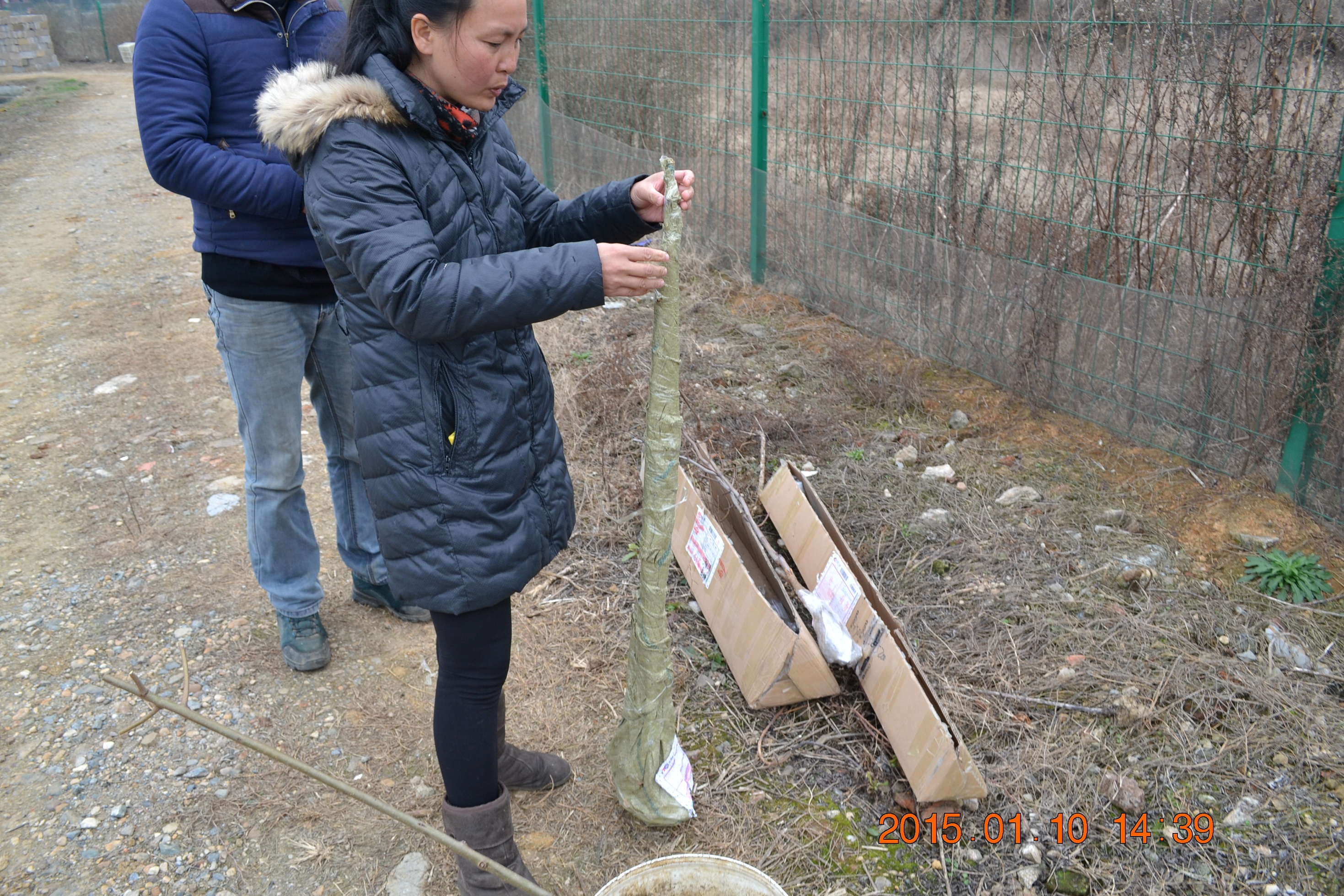 湖南最好的锦鲤养殖基地,湘潭锦鲤养殖