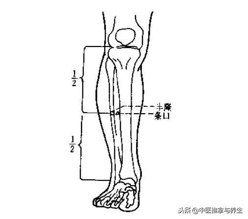 如何调理脾湿热,调理脾胃湿热的处方