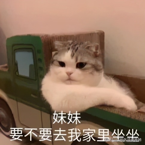 肉脸女孩怎么打扮,肉脸女生怎么变风格