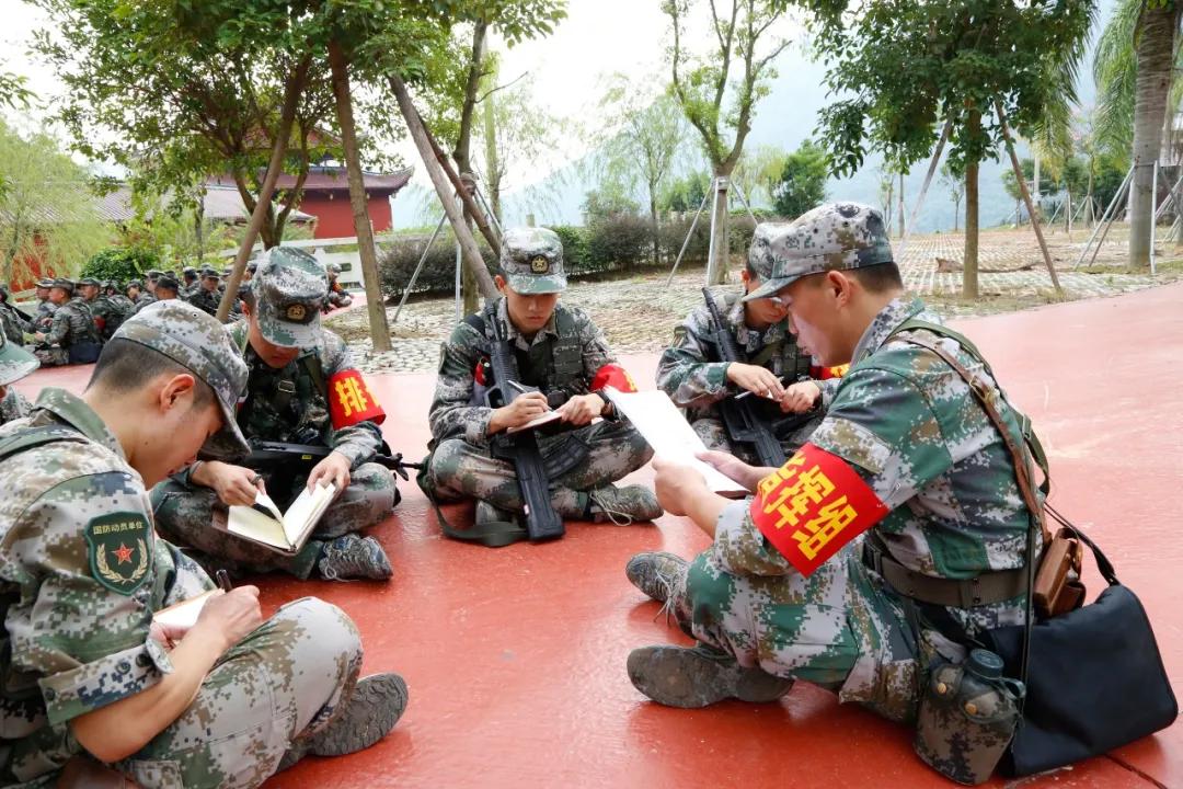 福建省军区民兵演习,战区部队的军事演练