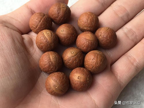 凤眼菩提的由来,凤眼菩提的起源和作用