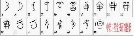 最常见甲骨文汉字对照表,甲骨文与现代文字对照表