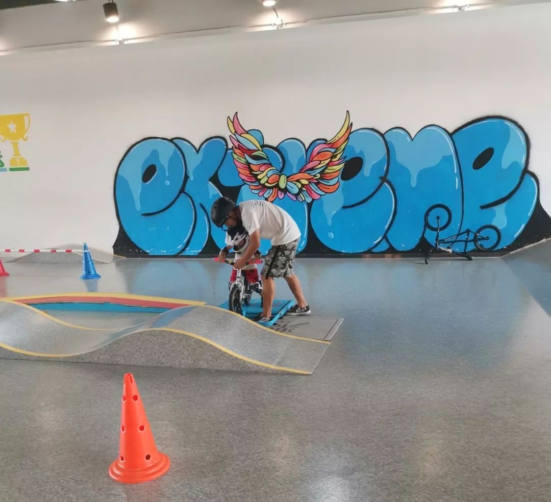 实体店最贵的平衡车 (实体店的平衡车好吗)