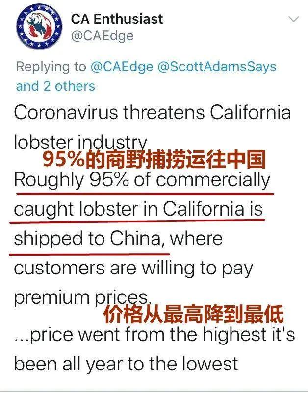 龙虾没人吃、LV没人买……中国人再不出门，各国旅游业都要垮了