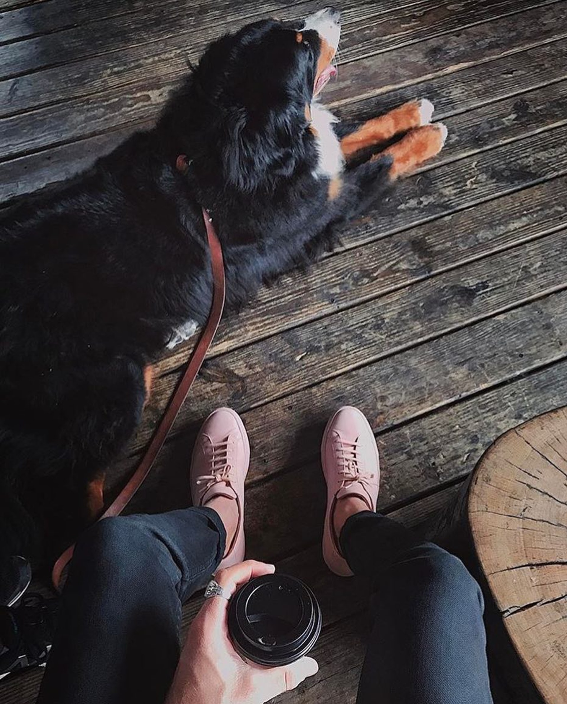 阿sa蔡卓妍高腰半身裙,蔡卓妍机场同款鞋子