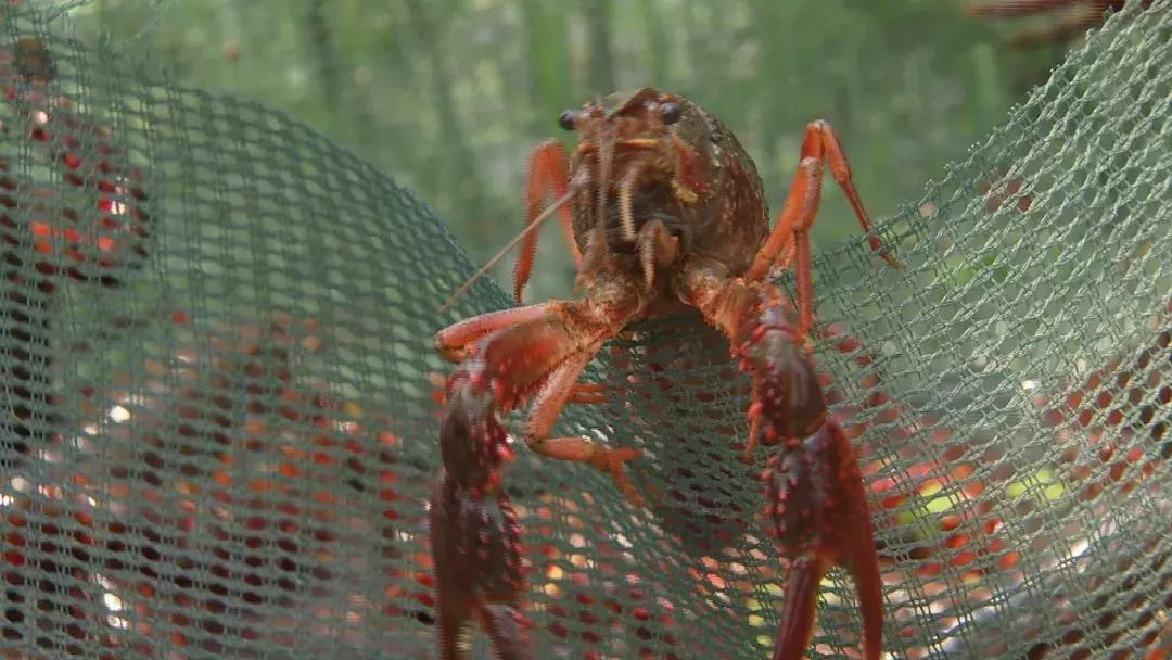 自己跑生意,自己跑业务做什么生意好