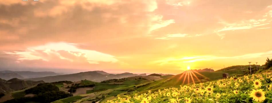 唐国强跟张国立,唐国强和张国立合作