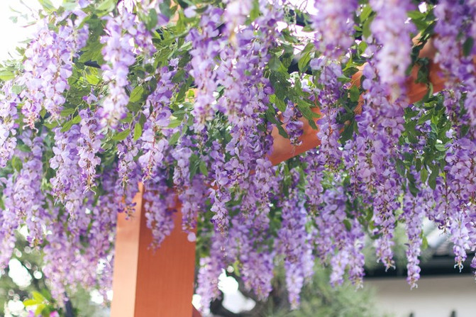 日本冈山旅游自由行,日本冈山旅游攻略