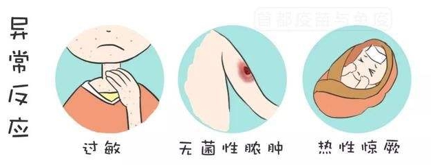 宝宝打疫苗的十大关注事项,宝宝打疫苗的7大关注事项