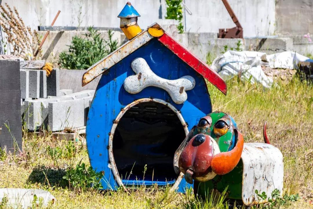 训犬狗狗不听话,爱训犬