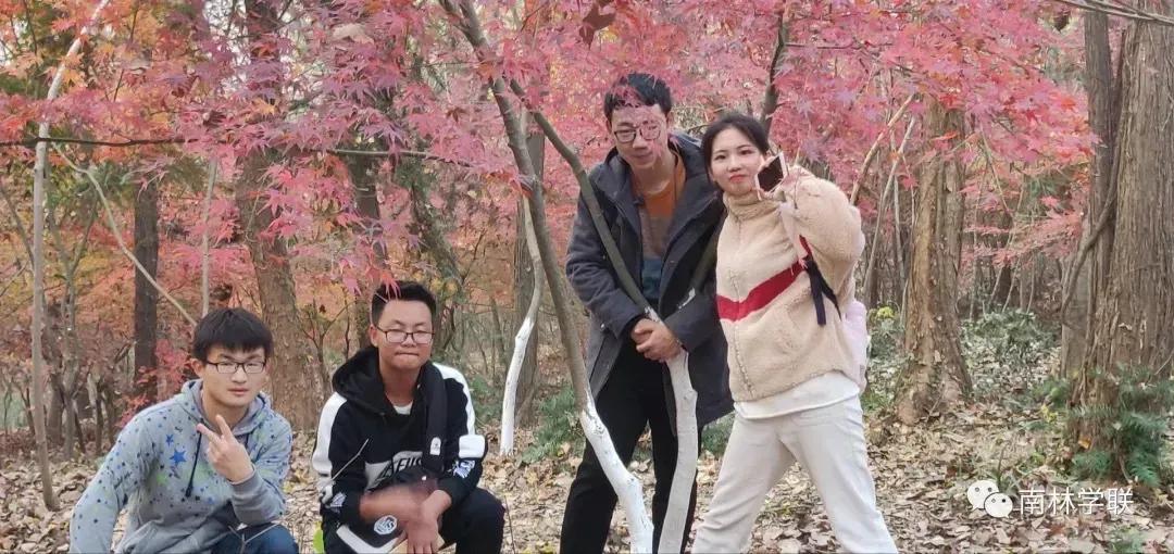 斩获全省大奖，各种惊喜不断！南京宝藏大学，这些花式社团含金量“超高”！
