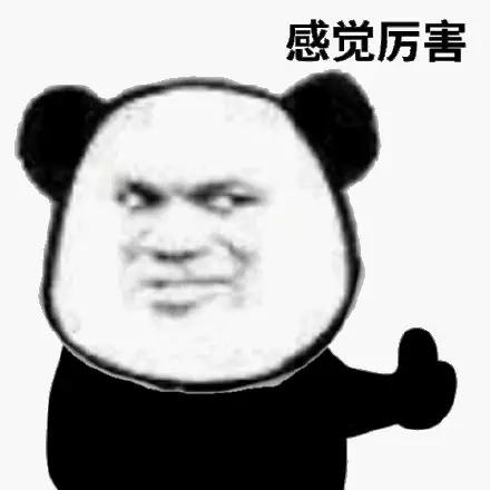 珠海好玩的户外运动,珠海玩极限运动去哪里