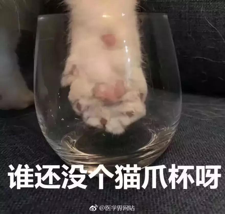 星巴克猫爪杯饥饿营销策略,星巴克猫爪杯深夜排队疯抢