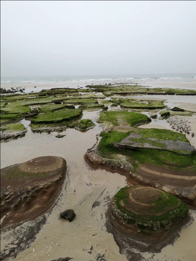 热带雨林中的蓬莱,热带岛屿游玩攻略