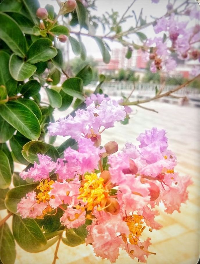 临颍：摄影家大咖走进三高，现场传授摄影秘籍