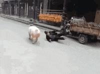 “兄弟睡觉压得胳膊都变色了，要不要叫醒他？”醒来一定很酸爽