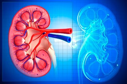 肾结石怎么治才能彻底根除,肾结石怎么根治最有效