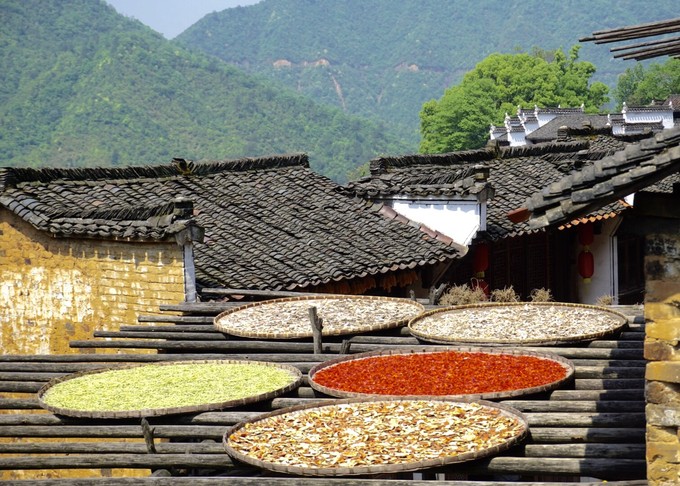 婺源旅游住宿攻略自由行,婺源旅游交通工具攻略