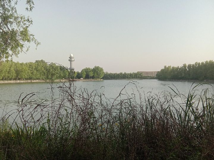 跑步上梁山,跑步上皂山