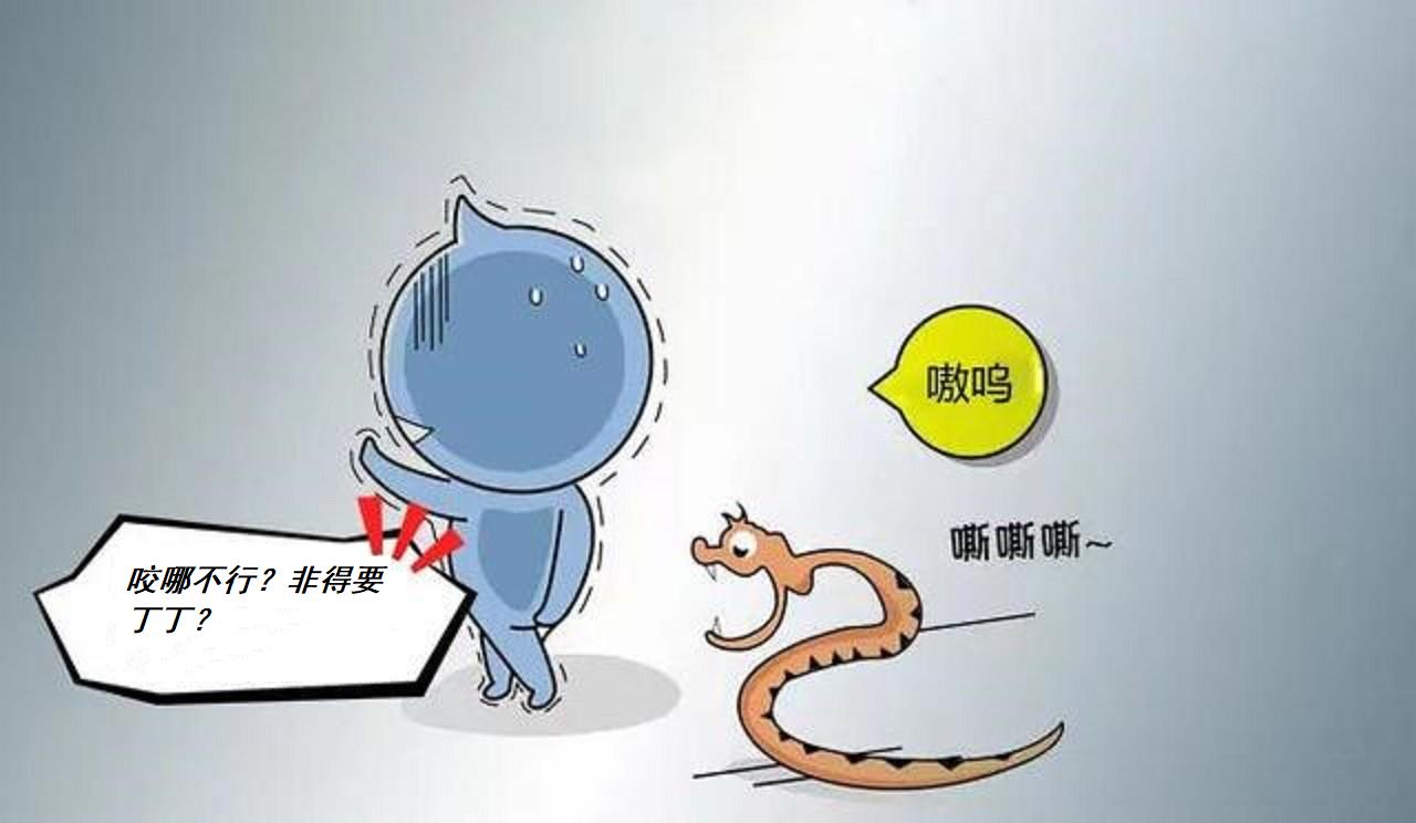 厕所被眼镜蛇咬男子怎么样了,男子上厕所不谨慎被青蛙咬