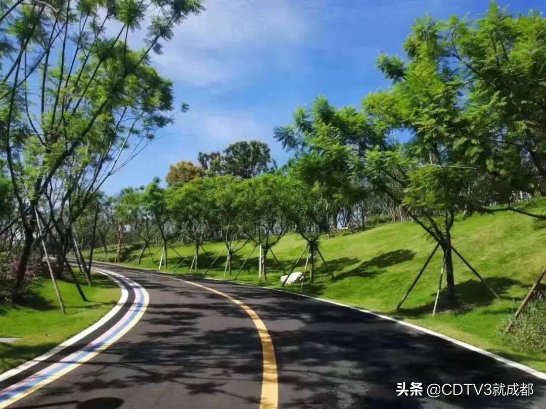 成都国家公园城市建设,开启成都创新型城市发展新征程