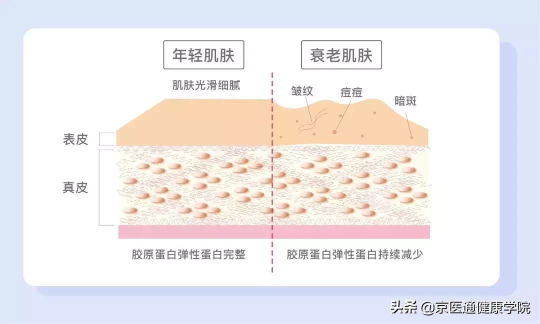 胶原蛋白真的有必要买吗,新手一定要知道的胶原蛋白骗局