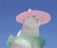 抗衰的坑有多深,抗衰的误解有多深