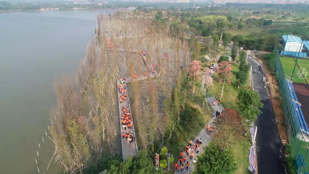 爱前行公益活动,爱行路公益活动