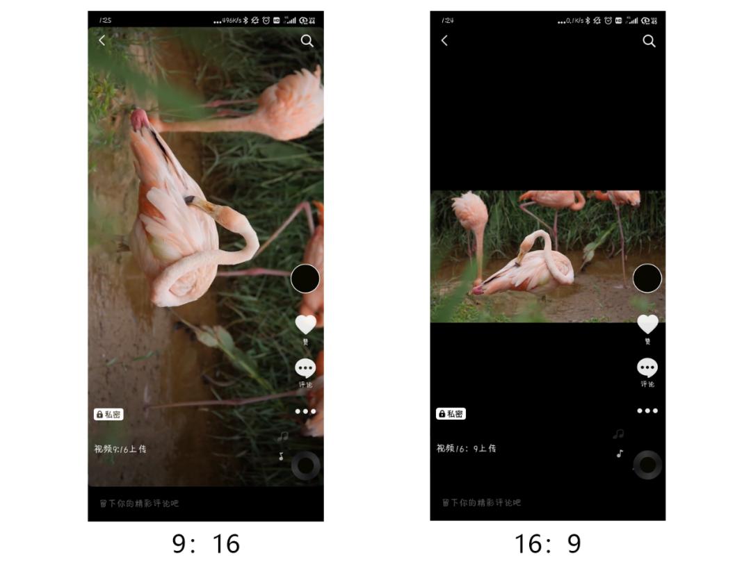 抖音视频测试的方法,抖音怎么让视频变快的教程