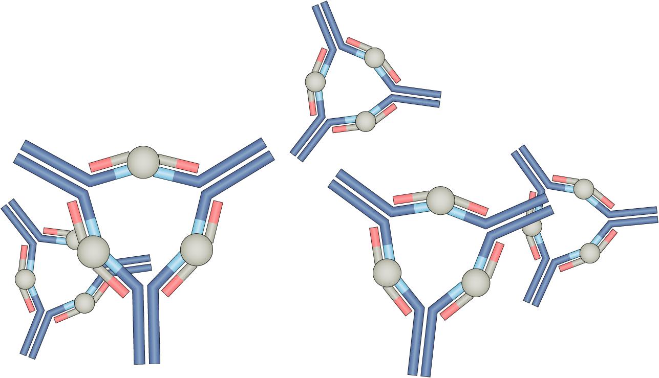 膜性肾病流行病学,膜性肾病的最新研究