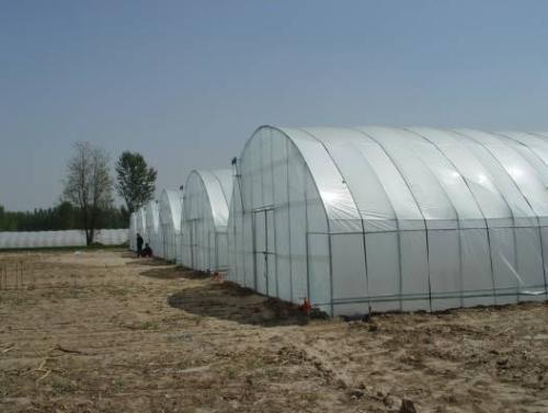 单栋温室大棚造价多少钱一亩,绥化薄膜温室大棚造价一亩多少钱