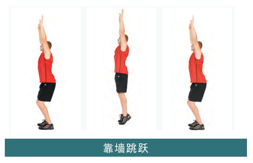 美国运动医学学会——膝关节损伤纠正性训练方案