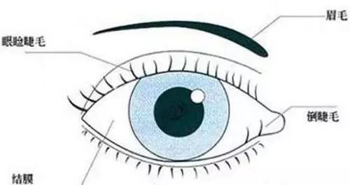 儿童眼科常见病有哪些,家长收藏孩子生病要用的药物