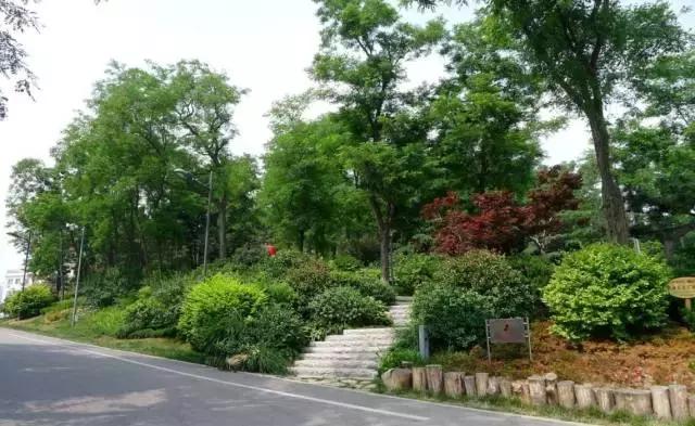 威海60岁免费景点,威海十大网红免费景点