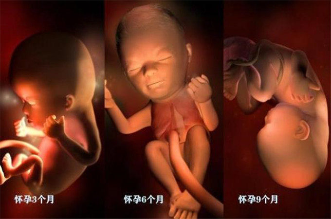 一张图告诉你怀孕哪里疼,怀孕1到10个月对比照