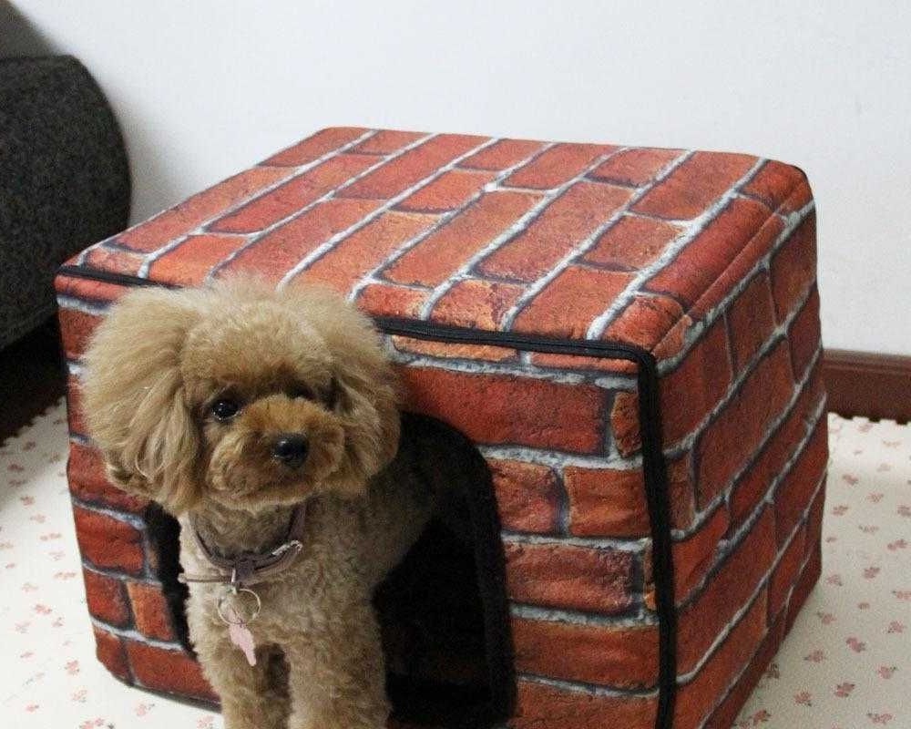 常见狗的各种发病症状,成犬狗狗老是咬东西是咋回事