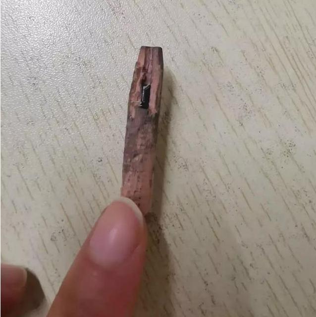 宝妈没事别翻熊孩子书包，里面是小叮当的口袋，会气到发笑