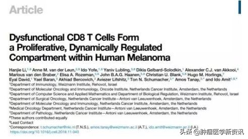 最新免疫疗法新消息,免疫疗法最近几年有大的发展吗