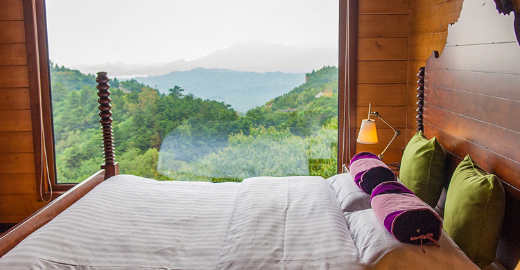 疫情退散便是花开之时,疫情退散之时花开之日