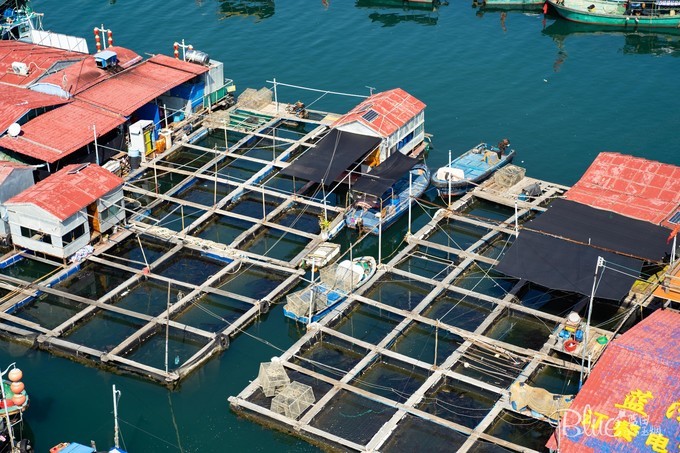 三亚猴岛跨海索道,海南南湾猴岛游玩线路图