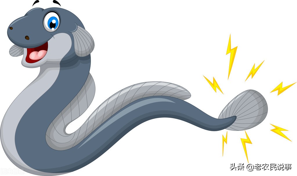 农村房屋有蛇出没，好事还是坏事？用什么方法能避免蛇出现？