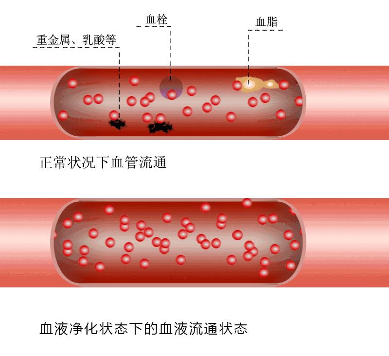得了脂肪肝是不是就一定要戒烟,重度脂肪肝30天消除最快方法运动