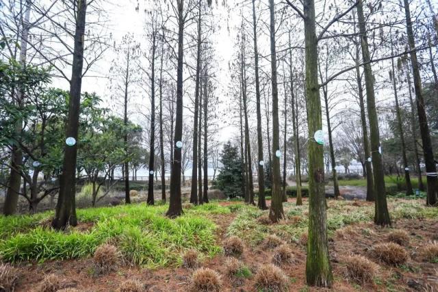 上海徐汇滨江大道跑步,上海浦东跑步圣地排名