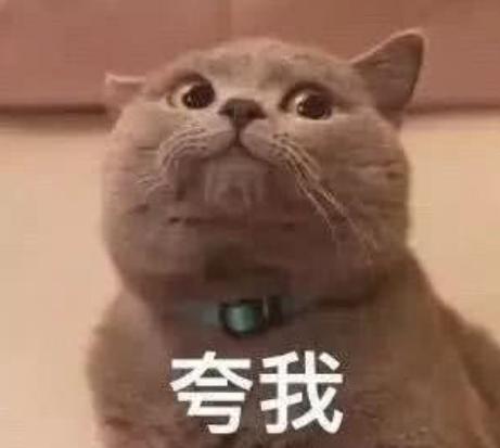 证件照怎样复制到表上,证件照只有一张怎么复制