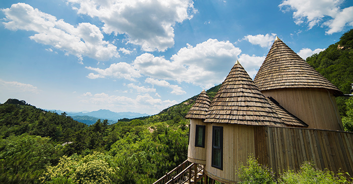 疫情退散便是花开之时,疫情退散之时花开之日