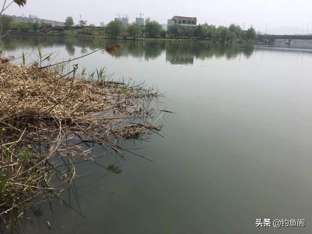 突然下雨降温第一天钓鱼好钓吗,下雨刮风好钓鱼吗