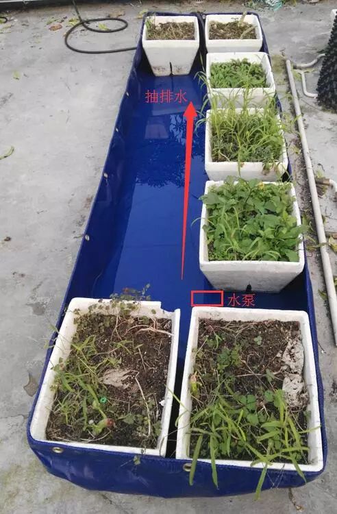 二培箱安装视频教程,池氏二培