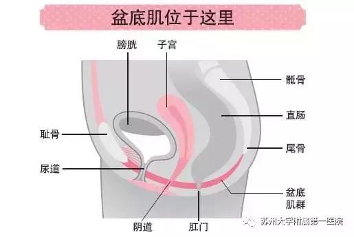 子宫摘除以后有没有并发症,子宫摘除以后怕凉吗