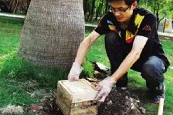 宝宝的胎盘埋了可以重新挖出来吗,宝宝的胎盘