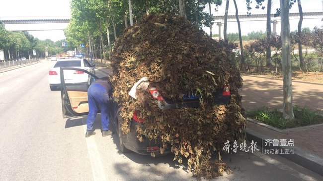 烟台一老司机给轿车戴草帽，玩出了皮卡的即视感